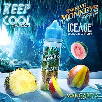 12 MONKEYS – ICE AGE – MANGABEYS ICED - 60ML